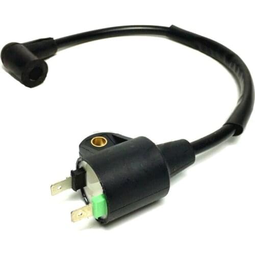 Ignition Coil 69381 For Harbor Freight Storm CAT 63CC 2HP 800 900W 60338 66619 69381 Generator