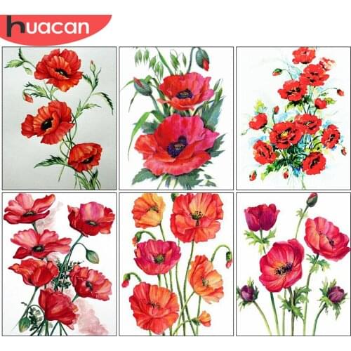 HUACAN Coloring By Number Poppy Flower Kits DIY Handpainted Painting By Number Drawing On Canvas Home Decoration For Adults