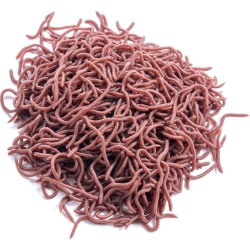 50pcs Lifelike Red Worm Soft Lure Earthworm Fishing Silicone Artificial Bait Fishy Smell Shrimp Additive Bass Carp