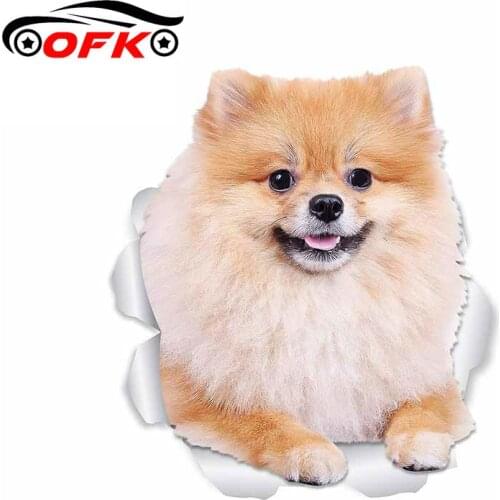 OFK Cartoon Sticker Pomeranian Dog Vinyl Auto Accessories Window Cover Scratches Waterproof 13cm*12cm