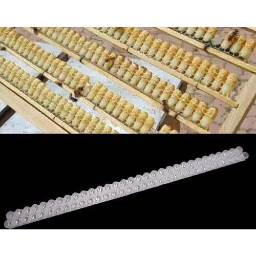 15PCS Beekeeping Royal Jelly Strip Double Rows Hole Holes Bee Milk Pulp Collect Container Plastic Bees Tools Equipment Supplies