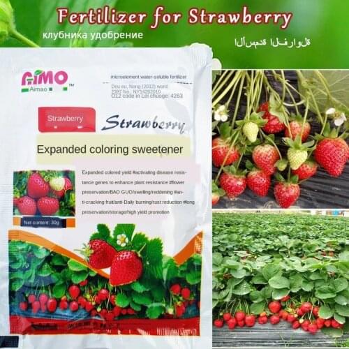 Special Strawberry Fertilizer Supplemental Plant Nutrition Hydroponics Expanded Fruit Rapid Rooting For Home Garden Bonsai