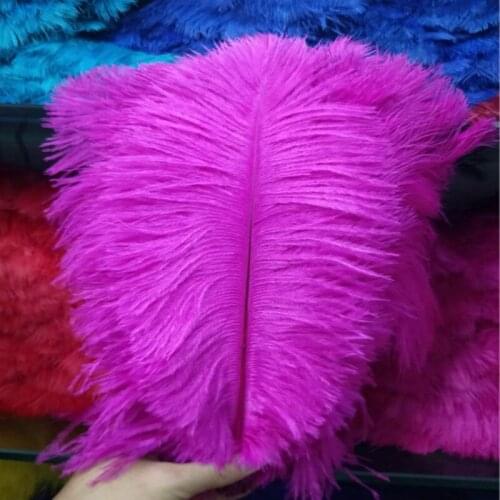 10PCS Thick pole ostrich feather Mei red ostrich plumage 55-60cm / 22-24 inches plume artware performing decorations