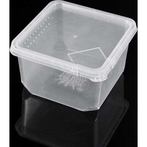 1Pc Reptile Terrarium Feeder Breeding Box Tortoise Spider Lizard Beetle Insect House