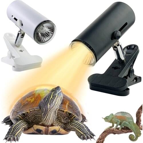 UVA UVB Amphibians Reptile Lamp Holder Basking Heat Light Reptile Lamp Ceramica Temperature Tortuga Tortoise Lizard Lighting