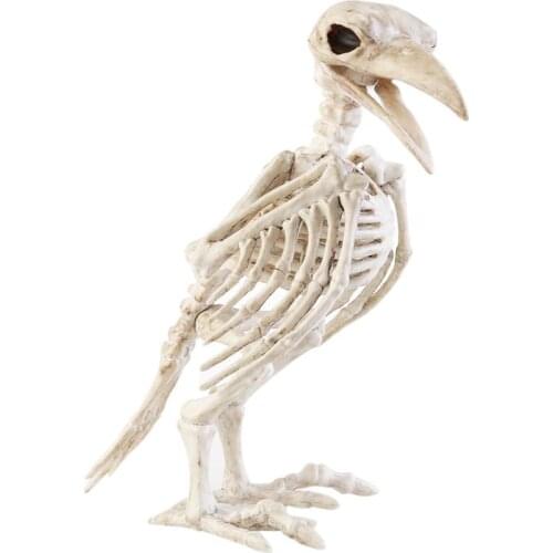 Crazy Bone Skeleton Raven 100% Animal Skeleton Bones Horror Decoration Prop Bird Crow Skeleton Decor