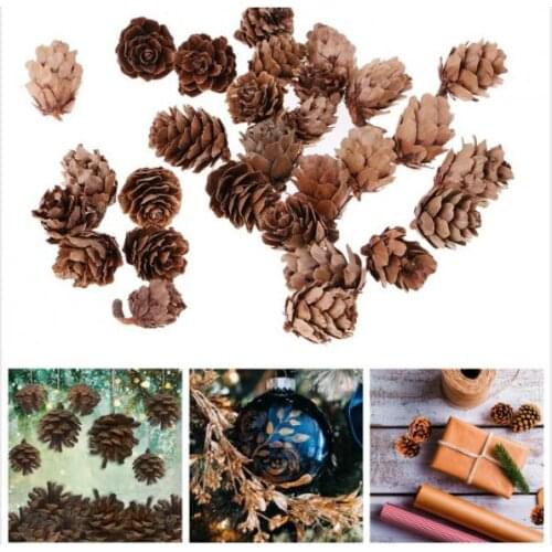 30Pcs Natural Pine Cones, Rustic Pinecones Ornaments for Gift Tag Party Hanging Fall Thanksgiving and Christmas Tree Decoration