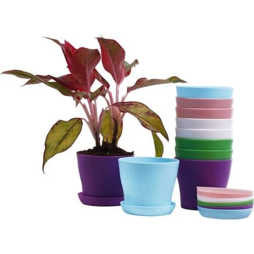 10 Pcs Plastic Planters Indoor Flower Plant Pots Mini Flower Seedlings Nursery Pot Planter Flower Pot with Pallet
