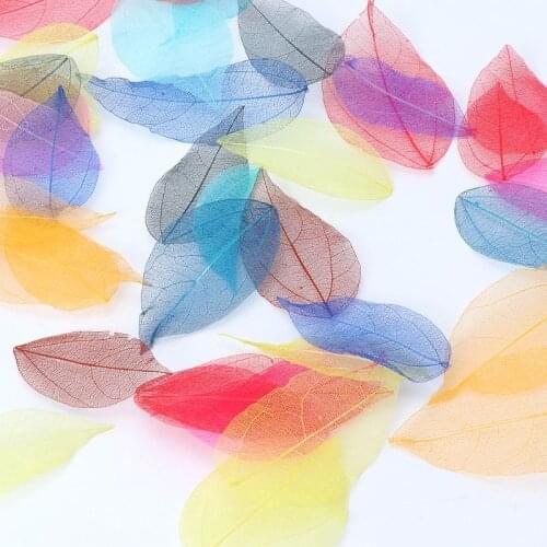 50 Pcs Mixed Color Natural Skeleton Leaves Pressed Flower for Jewelry Making 87HB