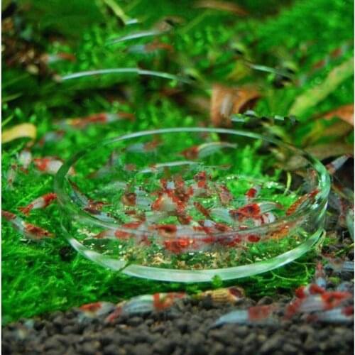 Glass Material Aquarium Food Feeder Feeding Bowl Cup Fish Tank Food Feeder Dish Container For Crystal Red Shrimp Snail Fish