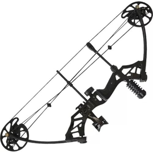 Right Handed Archery Hunting Compound Bow Sets High Quality Bow Shooting