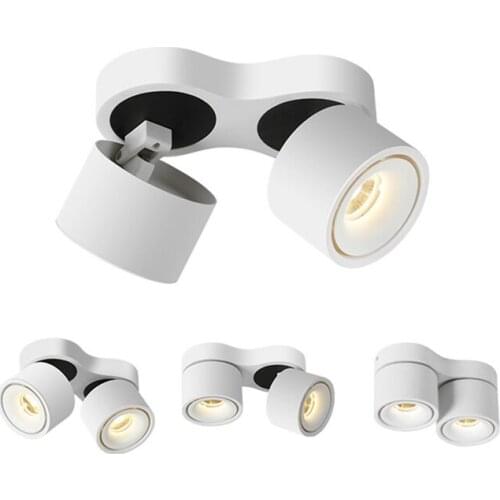 Surface Mounted LED COB Downlight14W/24W Rotating LED Spot Light Ceiling Lamp with LED Driver AC110V/220V