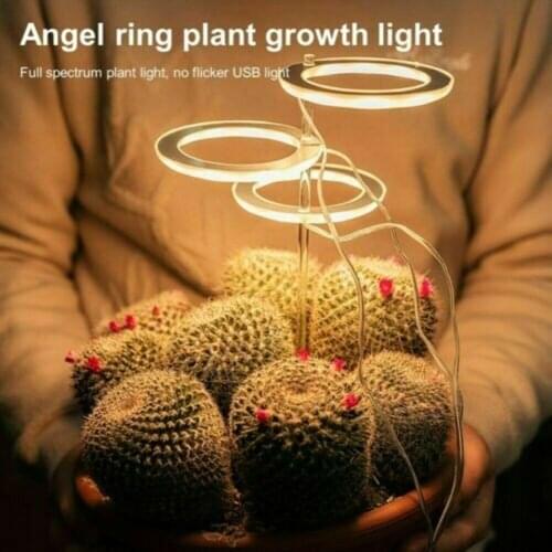 Litake Plant Lamps