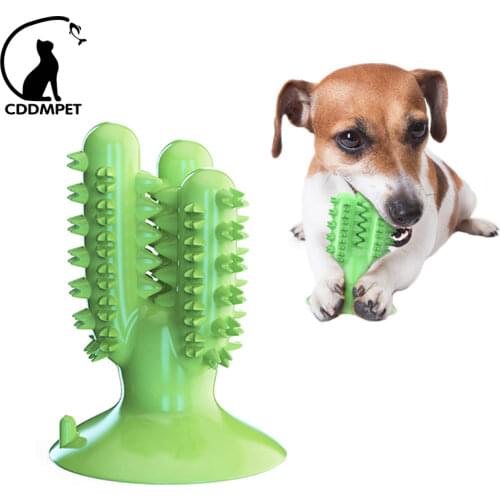 Dental Chew Toys for Dogs Healthy Fresh Puppy Teeth Cleaning Brush Cactus Large Breed Dog Molar Toothbrush Stick Pet Supplies