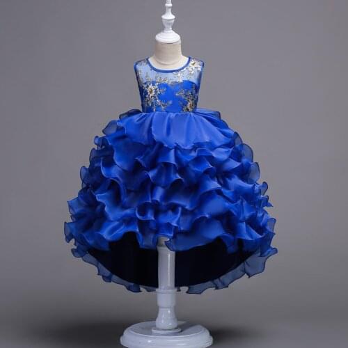Children Performance Dresses Princess Trailer Cake And a Fluffy Dress