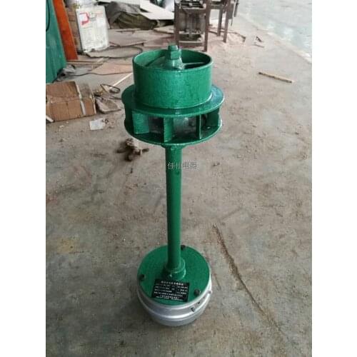 Hydraulic Small Generator High Power Household 220V500W Permanent Magnet Brushless Pure Copper Wire Axial Flow