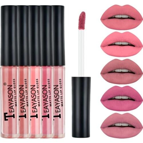 5Pcs/Set Waterproof Long Lasting Lipstick Sexy Vampire Lip Stick Matte Velvet Lipsticks Lips Makeup Cosmetics Lipstick Set