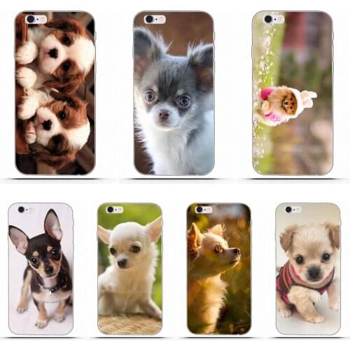 Funny Chihuahua Dog Puppy For Moto G G2 G3 For HTC Desire 530 626 628 630 816 820 One A9 M7 M8 M9 M10 E9 Plus U11 TPU Coque Case