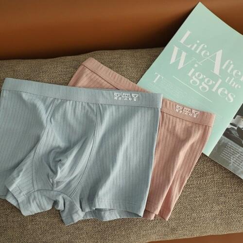 Simple pure cotton boxers men Underwear adult plus size casual male underwear boxers men N0038