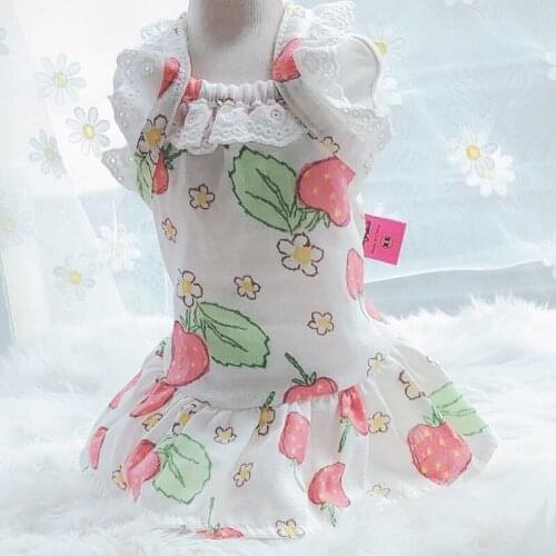 Small Dog Dress Summer Girl Dog Clothes Puppy Skirt Pomeranian Yorkshire Shih Tzu Poodle Maltese Bichon Schnauzer Clothing