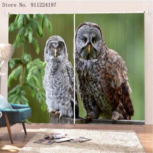 203x160cm 2Panel Set Digital Printing Curtains For Living Room 3D Animal Two Owls 3D Print Window Curtain Blackout Curtain Panel
