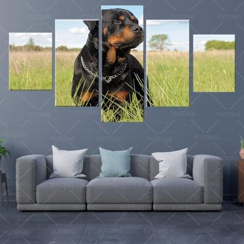 Wall Art Pictures Hd Printed 5 Pieces Rottweiler Dog Animal Modern Posters Painting On Canvas Living Room Home Decor Size Frame