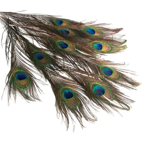 10Pcs Colorful Feathers for Jewelry,Clothing Decoration,DIY,Party Dress-ups and Dream Catcher Crafts