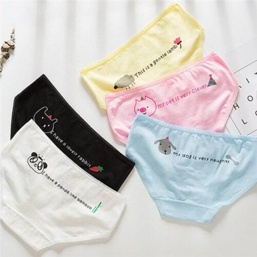 7 Pcs Cotton Underwear for Girls 2019 New Children Soft Panties Teenages Candy Color Briefs TWY-025-7P
