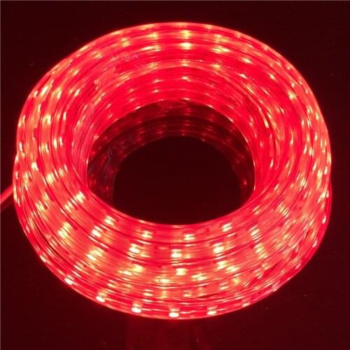 SMD 5050 AC220V LED Strip Flexible Light 60leds/m Waterproof Led Tape LED Light With Power Plug 1M/2M/3M/5M/6M/8M/9M/10M/15M/20M