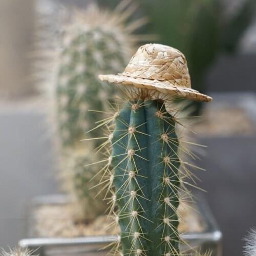 NCYP Miniature Figurines