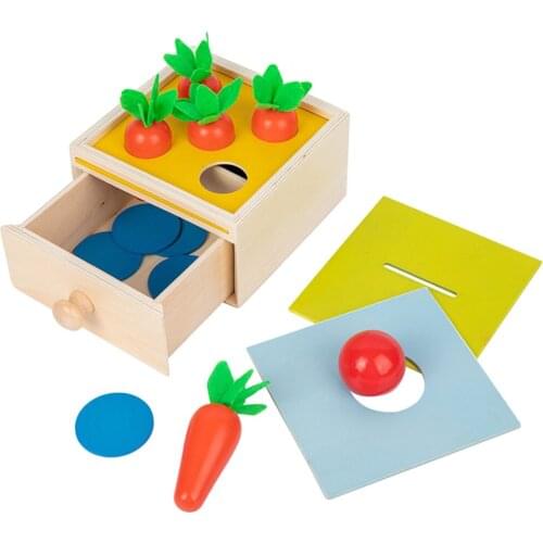 Montessori Infant Coin Box Ball Matching Box Carrot Sorting Game Preschool Learning Toys for Toddlers Wooden Toys