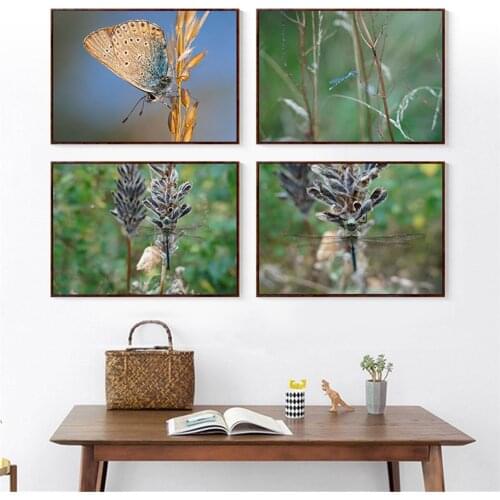 Insects Natural Creatures Insect Close-up Oil Canvas Paintings Art Paintings Living Room Decoration Paintings Hanging Paintings