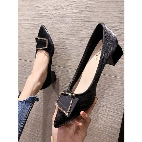 Womens shoes pointed toe spring 2021 new shallow mouth thick heel metal buckle mid-heel shoes