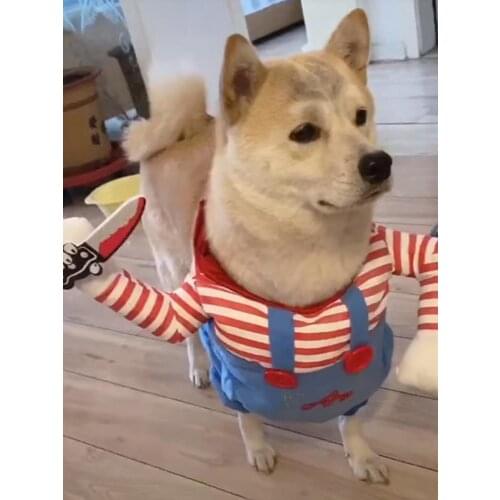 Funny Funny Small Dog Pet Costume Pet Sand Carving Dog Cat Pet Clothes