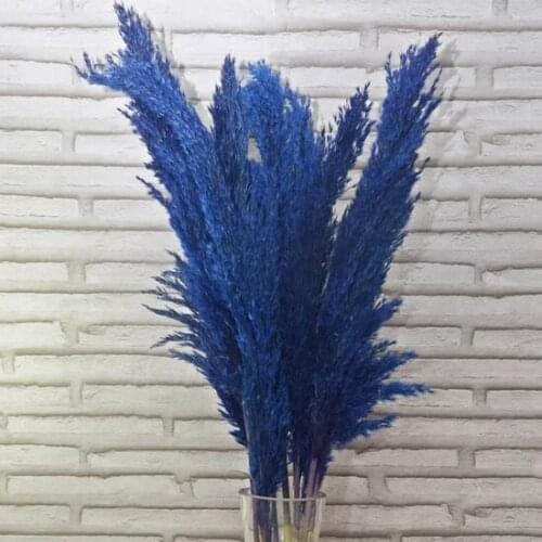 Mimosa Blue Pampas 10Adet 100cm decoration artificial flower искусственный цветок