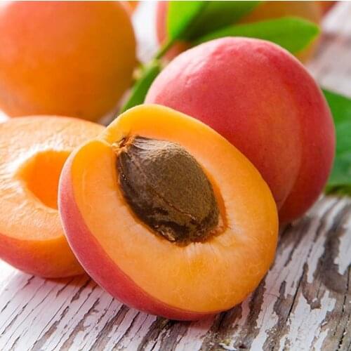 Aroma-ESM Disposable Food Containers