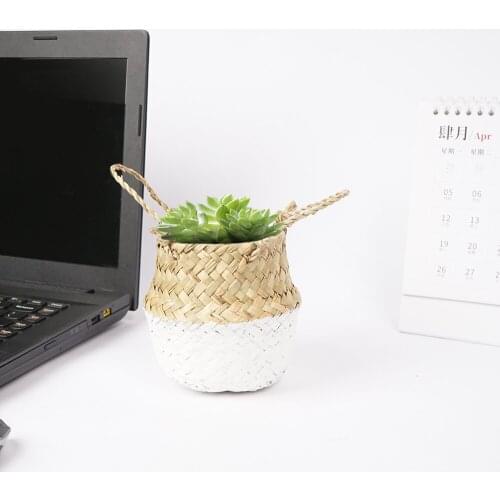 Desktop decoration Seagrass Plant Flower Basket Fleshy Pot Pen Box Stationery Storage Bucket Desk Woven Wicker Garden Pot
