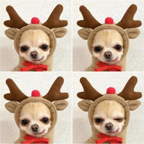 Winter Cartoon Pet Clothes Cute Fruit Dog Cat Hoodie Sweatshirt for Small Dogs French Bulldog Pug Coat Jacket Dogs Pets Clothing