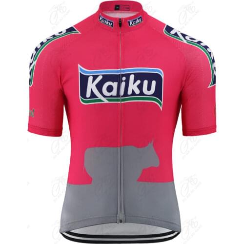 Summer Men Pink Cycling Jersey Retro Team Bicycle Clothes Cycling Clothing MTB Mountain Shirts Jersey Maillot Ciclismo Hombre