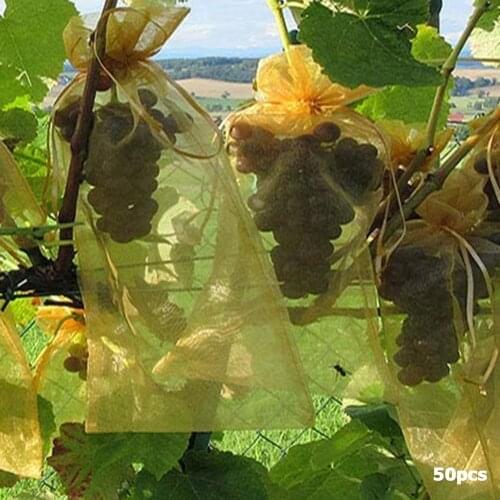 50pcs Fruits Plant Nursery Bags Grapes Gardening Protection Drawstring Mesh Bag Home Candy Pearl Storage Bag