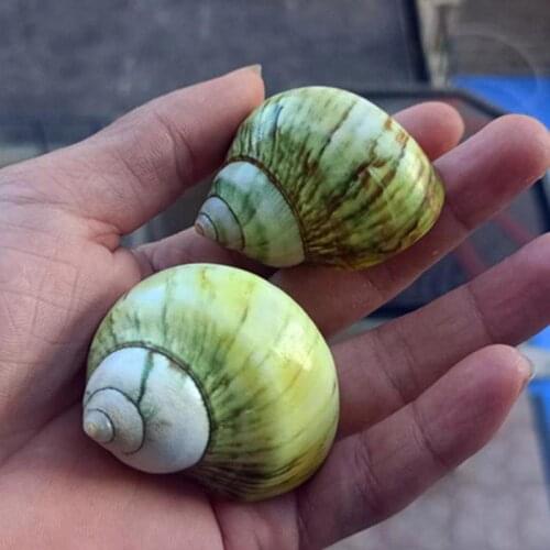 KITPIPI Window Fittings