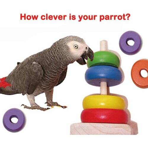 Pets world 2015 HOT SALE Rainbow Parrot Bird Toy for Training Playing Wooden Puzzle Beads Toys colorful Free shipping