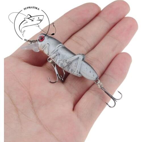 Artificial Floating Insect Bait 55mm/3.5g Plastic insect Bait 3D Eyes Topwater Anti-corrosion Bionic Fishing Lure Hard Bait