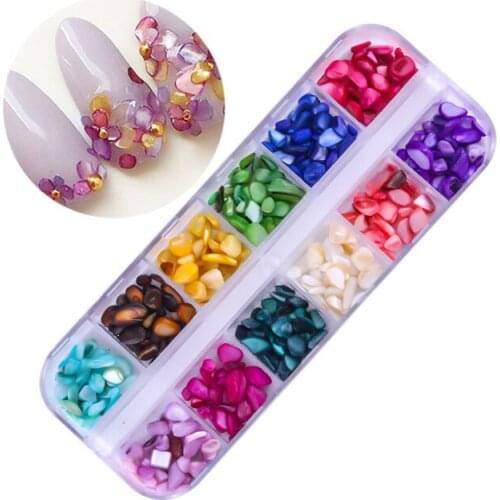1Box Shiny Sea Shell Nail Art Decorations 12 Size Irregular Slice Flake Natural Strass Gem Stones 3D Charms Jewelry Accessories