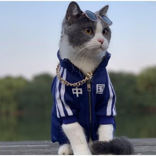 Pet Dog Trench dogs Clothes pets Windbreaker For Small Dogs Casual Puppy Cat Costumes French Bulldog Bichon jacket Clothing