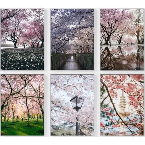 Nordic Poster Cherry Blossom Park Canvas Painting Art Print Minimalism Modern Picture For Living Room On The Wall Home Decor