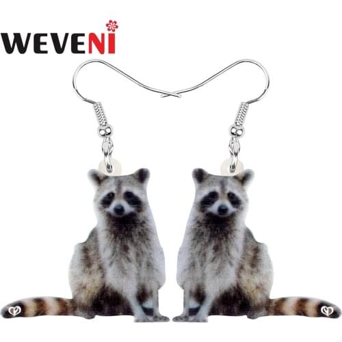 WEVENI Acrylic Double Brown Northern Raccoon Earrings Cute Wild Animal Dangle Drop For Women Kids Jewelry Novelty Gift Accessory