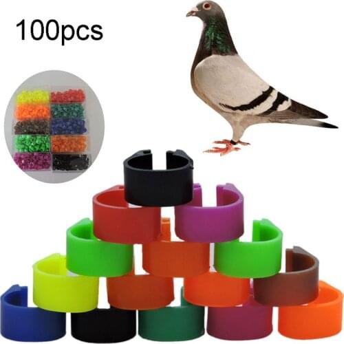 100 Pcs Multi-color Bird Foot Ring Species Identify Dove Bands Training Rings 11UA