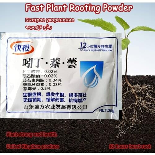 25g Bonsai Fast Plant Growth Root Medicinal Hormone Regulators Growing Seedling Recovery Germination Vigor Aid Fertilizer Garden