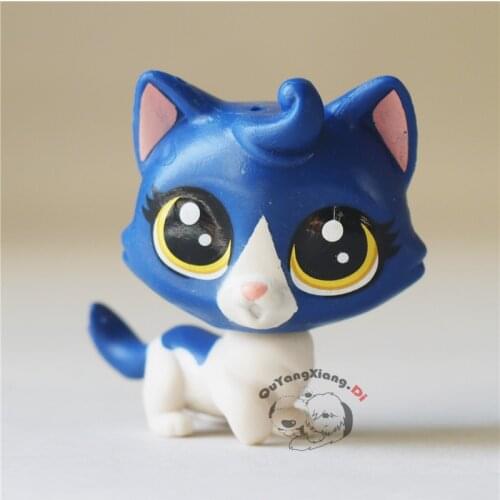 CWM046 Pet Shop Animal Blue cat doll action Figure kitten